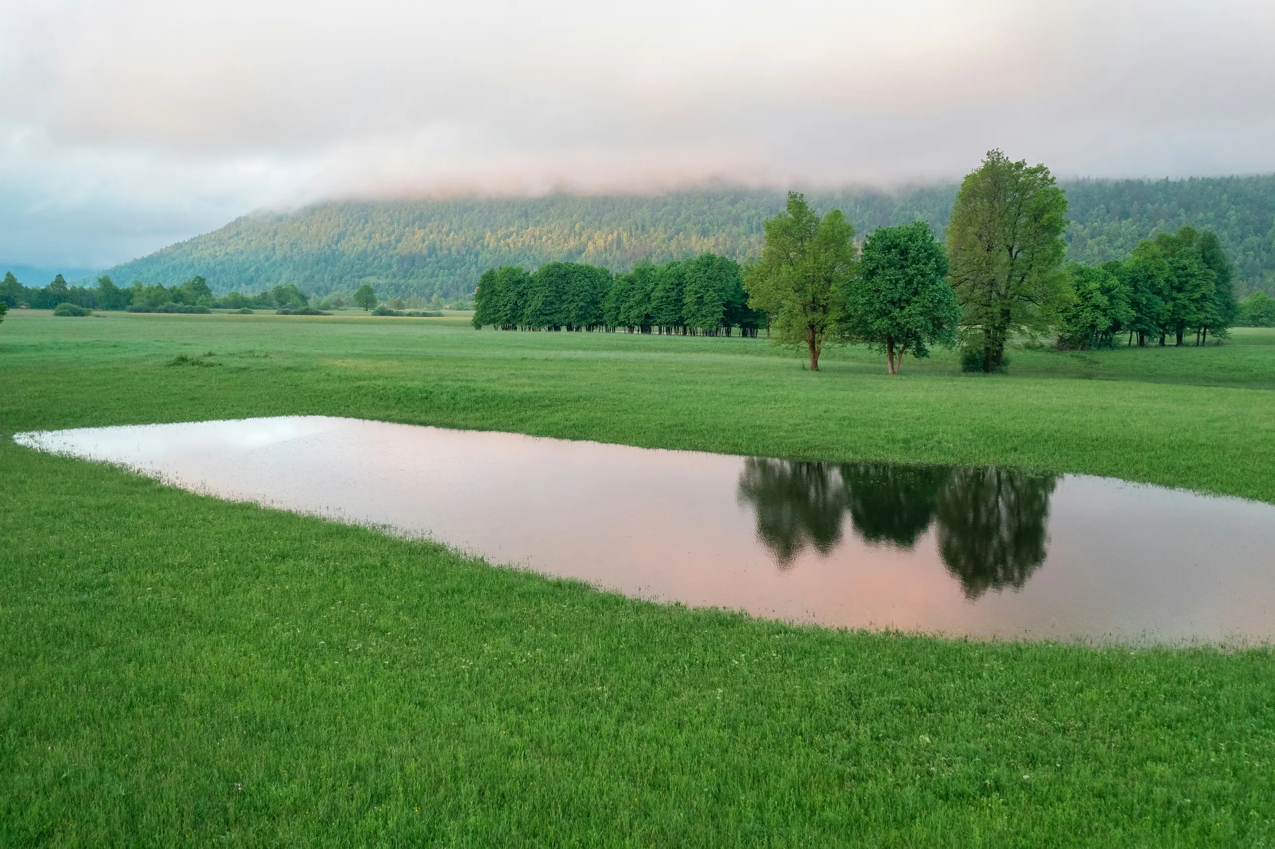 Estanque natural reflejando el cielo con una pradera y una colina boscosa al fondo